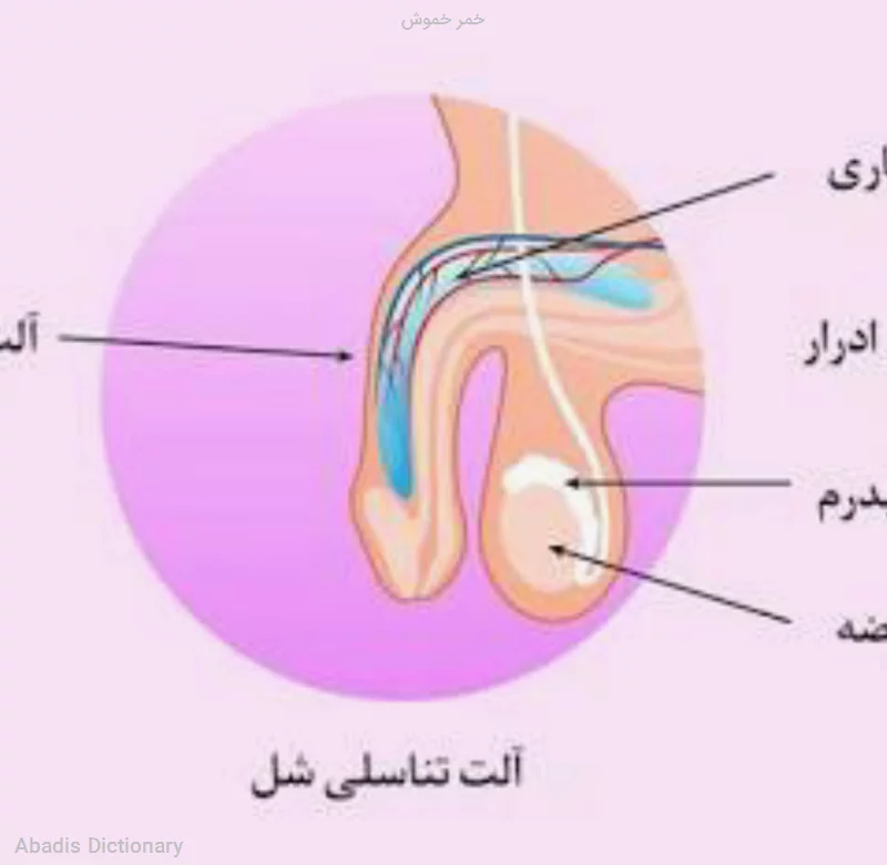 خمر خموش